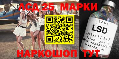 сатива Будённовск