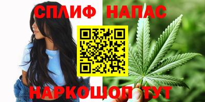 сатива Будённовск