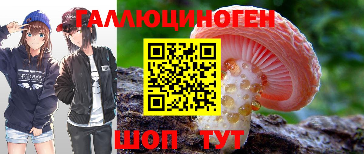 Стерлитамак  Псилоцибиновые грибы Psilocybine cubensis  Вход с VPN 