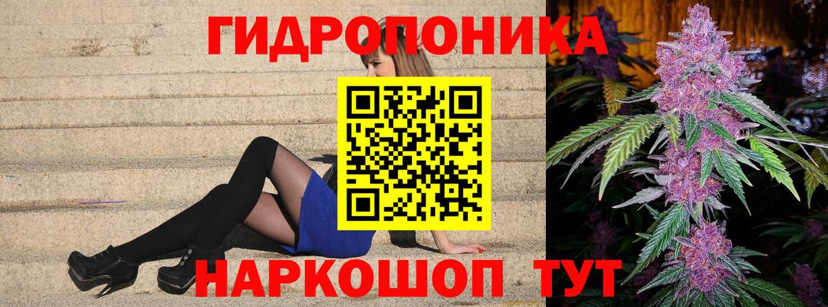 Бошки марихуана планчик Стерлитамак